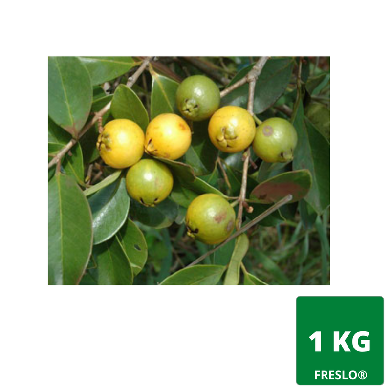 Guayaba arrayan por kilo