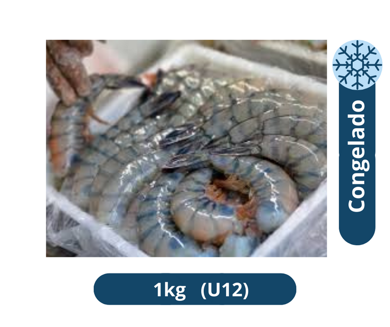 Camaron azul U12 marqueta 1kg