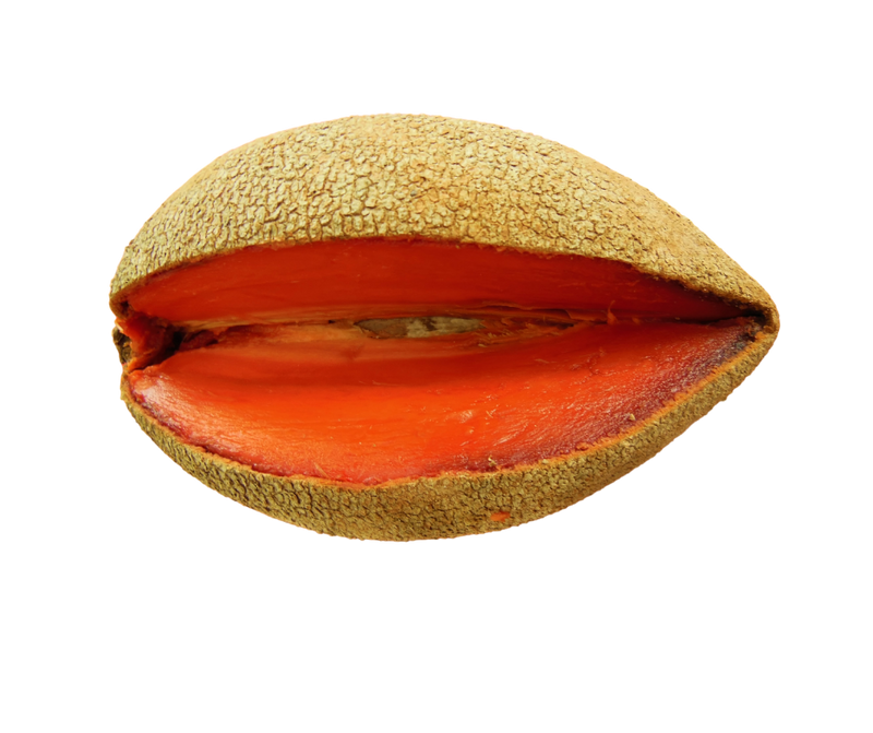 Mamey por kilo